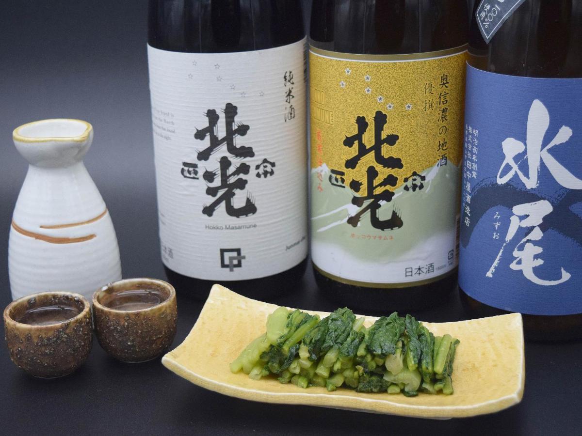 饭山市 户狩温泉阿尔宾广场旅馆酒店 外观 照片