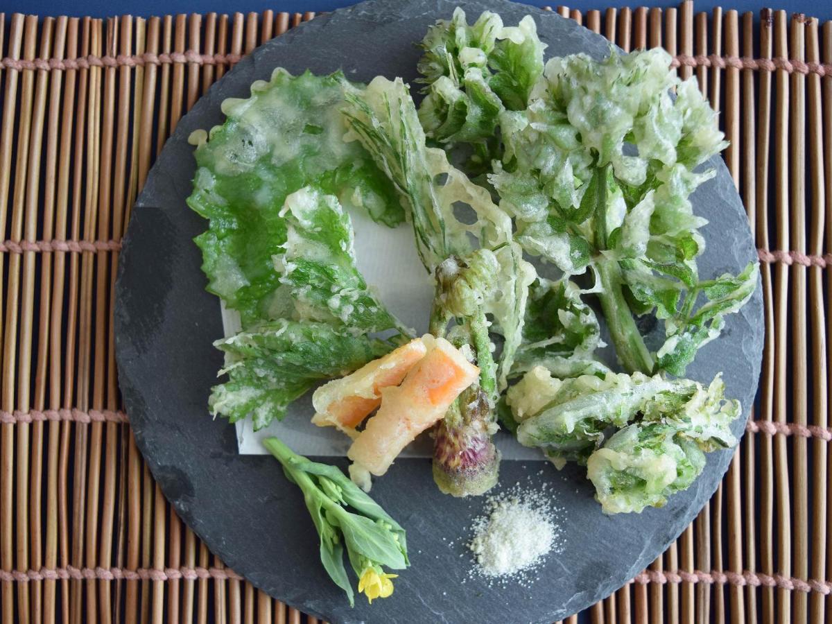 饭山市 户狩温泉阿尔宾广场旅馆酒店 外观 照片