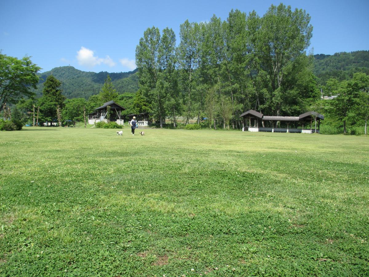 饭山市 户狩温泉阿尔宾广场旅馆酒店 外观 照片