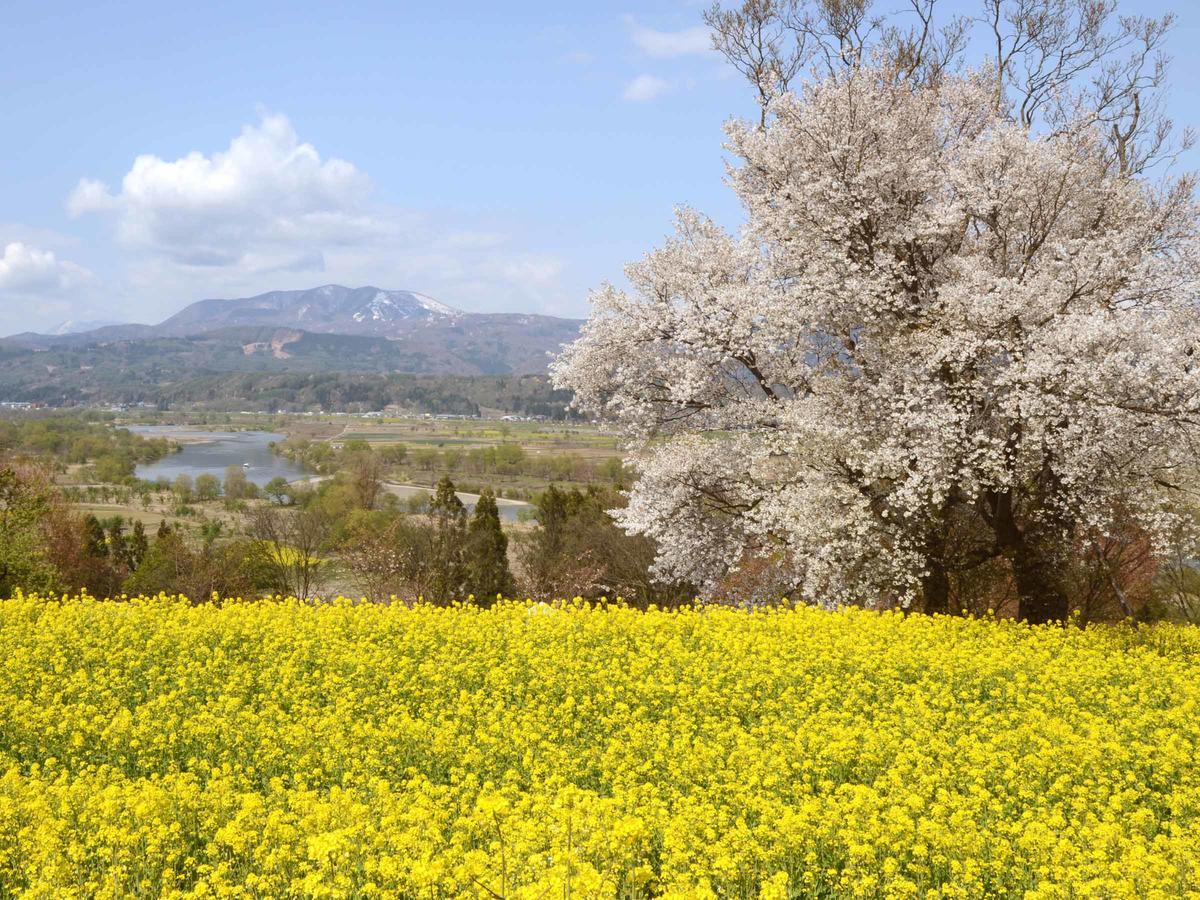 饭山市 户狩温泉阿尔宾广场旅馆酒店 外观 照片
